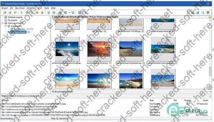 Extreme Picture Finder Crack 3.66.6 Free Download